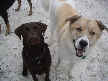 Duncan and Sam