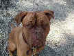 Barclay