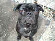 Biggie