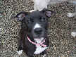 Chyna