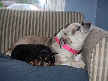 Coco and Bubba