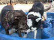 Elsie and Yuriy
