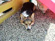 Jack