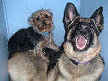 Jesse and Sasha