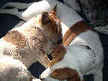 Monty and Curtis